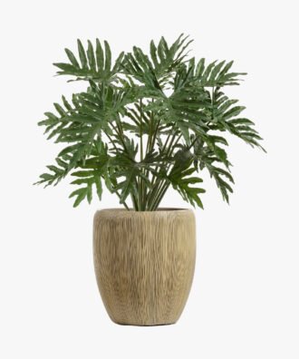 Philo Alobtt Artificial New Xanadu Plant