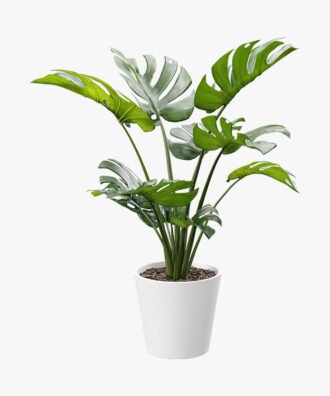Tied Artificial Swiss Cheese Potted Plant